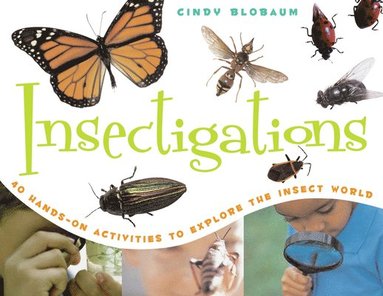 bokomslag Insectigations