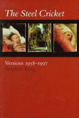 Stephen Berg - Steel Cricket, Häftad