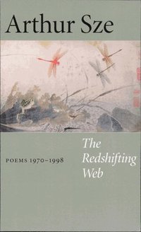 bokomslag The Redshifting Web