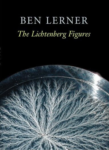 Ben Lerner - Lichtenberg Figures, Häftad