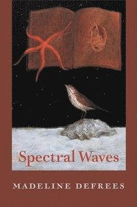 bokomslag Spectral Waves