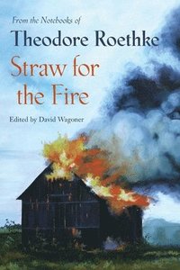 bokomslag Straw for the Fire