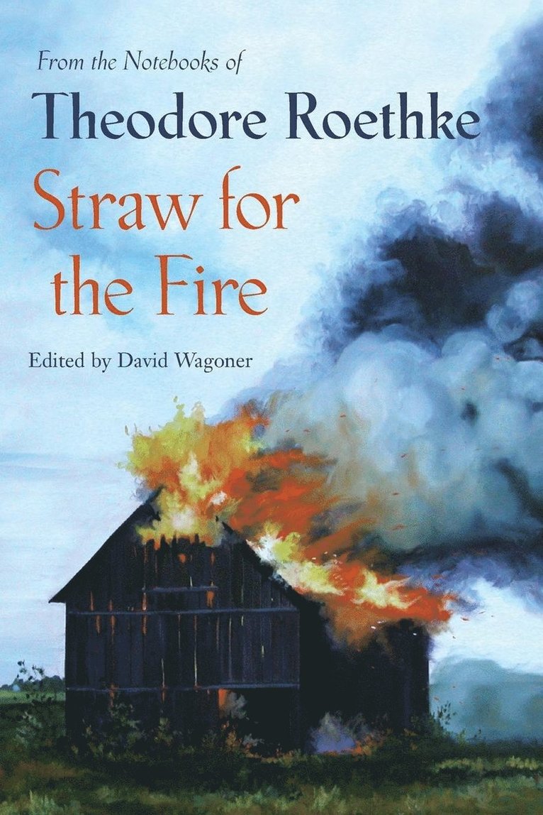 Theodore Roethke - Straw for the Fire, Häftad