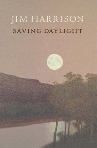 bokomslag Saving Daylight