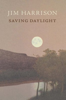 Saving Daylight 1
