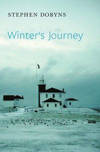 bokomslag Winter's Journey