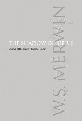 bokomslag Shadow of Sirius