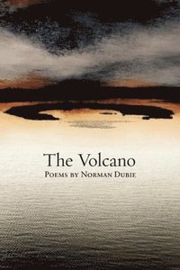 bokomslag The Volcano