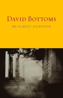 We Almost Disappear