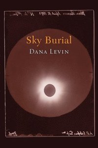 bokomslag Sky Burial