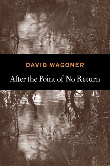 David Wagoner - After the Point of No Return, Häftad