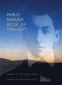 bokomslag Book of Twilight
