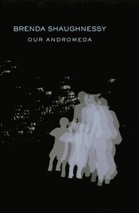 bokomslag Our Andromeda