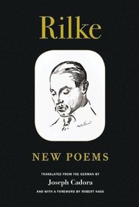 bokomslag Rilke: New Poems