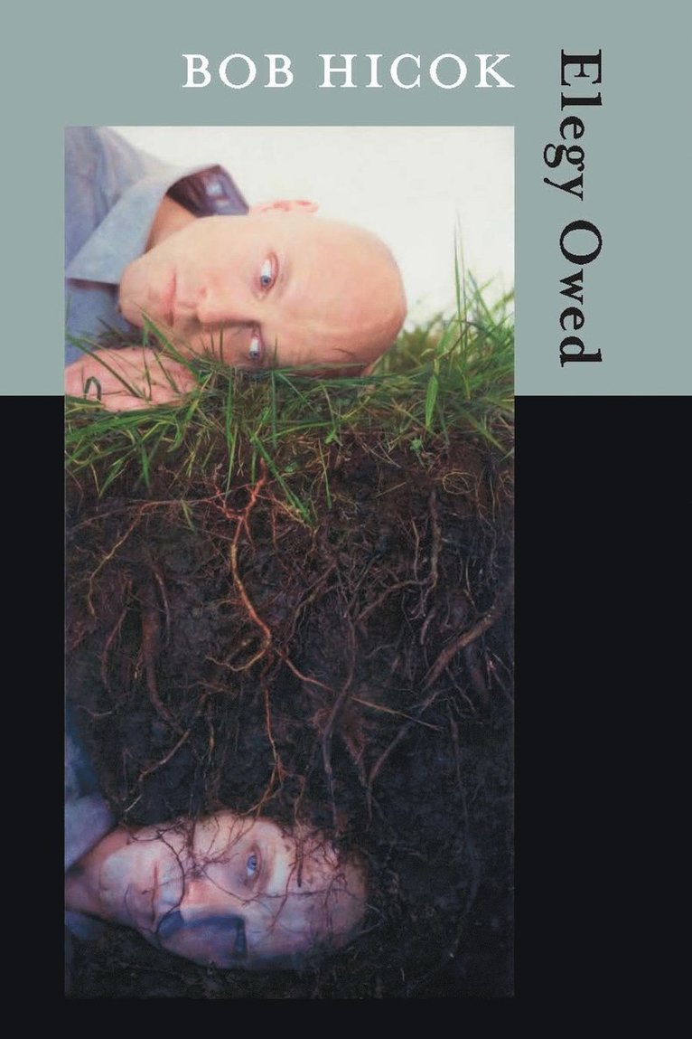 Bob Hicok - Elegy Owed, Häftad