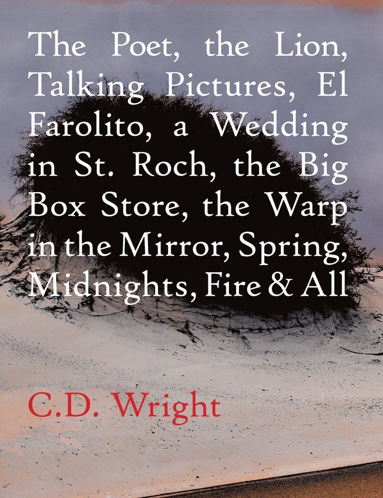 Poet, The Lion, Talking Pictures, El Farolito, A Wedding in St. Roch, The Big Box Store, The Warp in the Mirror, Spring, Midnights, Fire & All
