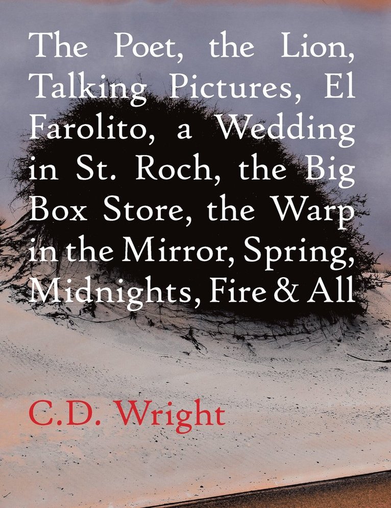 The Poet, The Lion, Talking Pictures, El Farolito, A Wedding in St. Roch, The Big Box Store, The Warp in the Mirror, Spring, Midnights, Fire & All 1