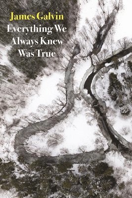 James Galvin - Everything We Always Knew Was True, Häftad