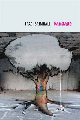 Traci Brimhall - Saudade, Häftad