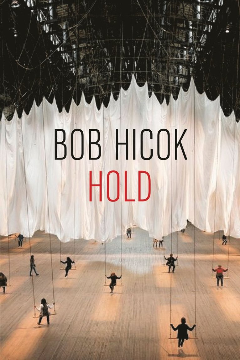 Bob Hicok - Hold, Häftad