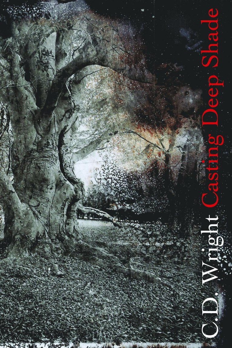 Casting Deep Shade
