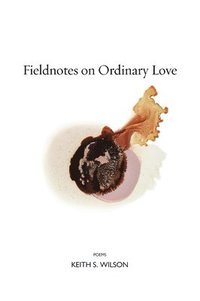 bokomslag Fieldnotes on Ordinary Love
