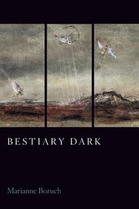 bokomslag Bestiary Dark