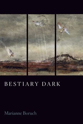 Bestiary Dark 1