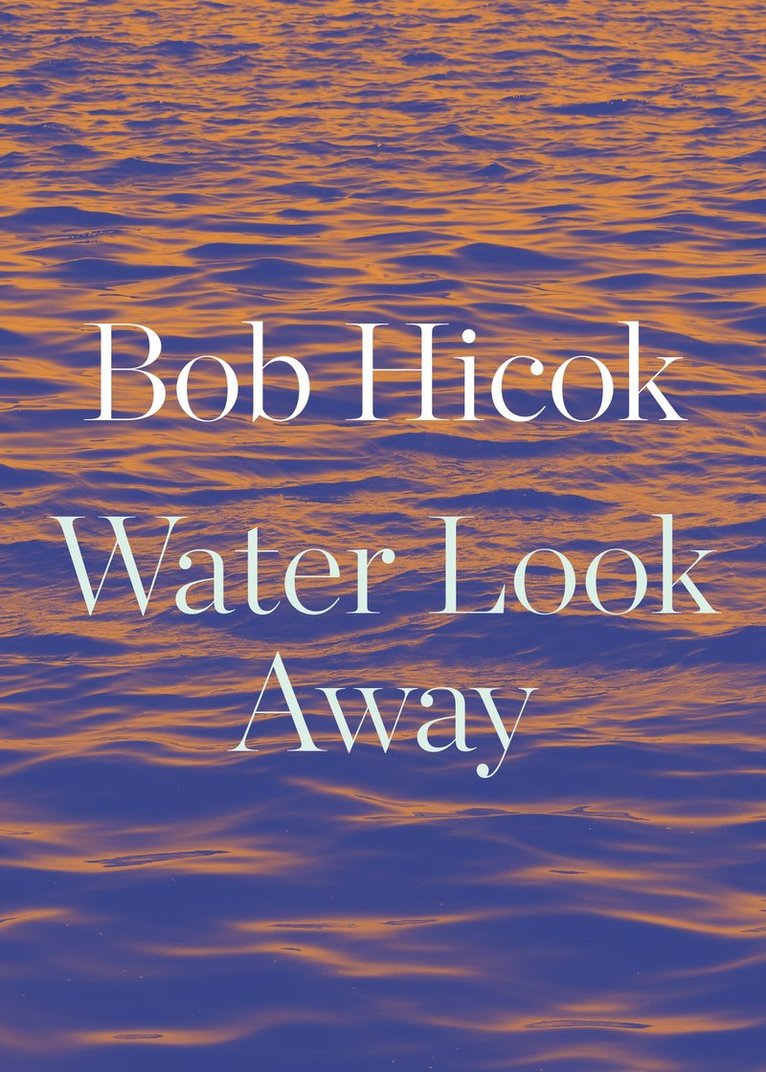 Bob Hicok - Water Look Away, Häftad