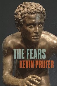 bokomslag The Fears