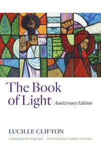bokomslag Book of Light