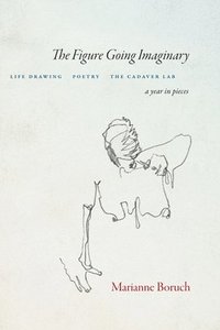 bokomslag Figure Going Imaginary