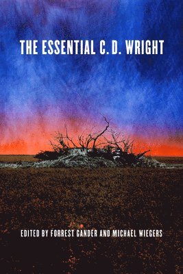 bokomslag Essential C.D. Wright