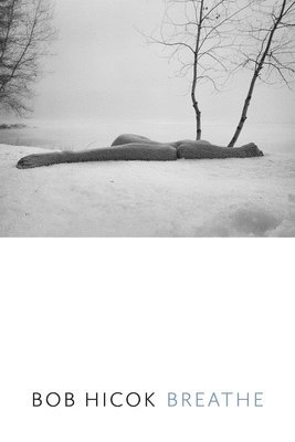 Bob Hicok - Breathe, Häftad