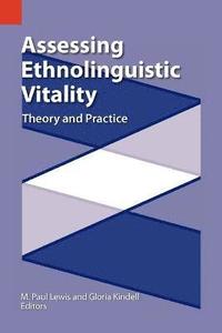 bokomslag Assessing Ethnolinguistic Vitality