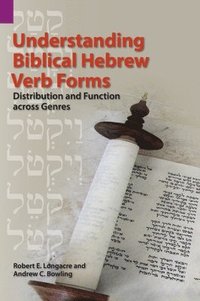 bokomslag Understanding Biblical Hebrew Verb Forms