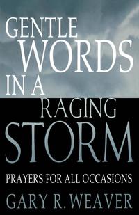 bokomslag Gentle Words in a Raging Storm