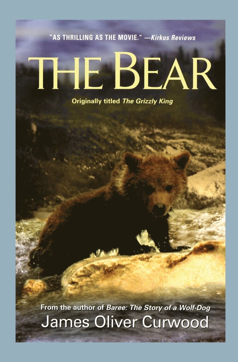 Bear 1