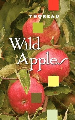 Henry David Thoreau - Wild Apples, Häftad