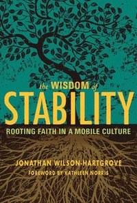 bokomslag The Wisdom of Stability