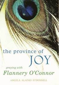bokomslag The Province of Joy