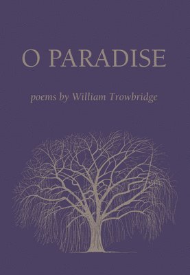 O Paradise 1