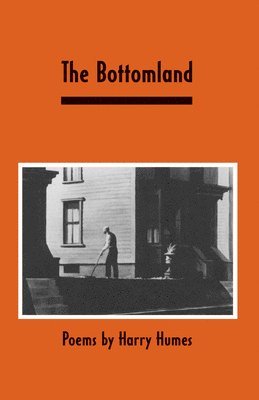 bokomslag The Bottomland