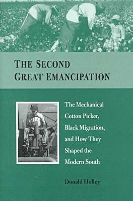 bokomslag Second Great Emancipation