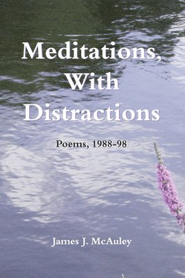 bokomslag Meditations, with Distractions