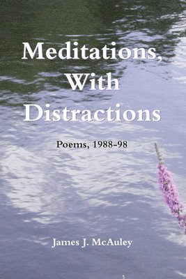 Meditations, with Distractions 1