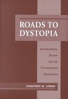 bokomslag Roads to Dystopia