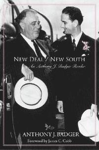 bokomslag New Deal/New South