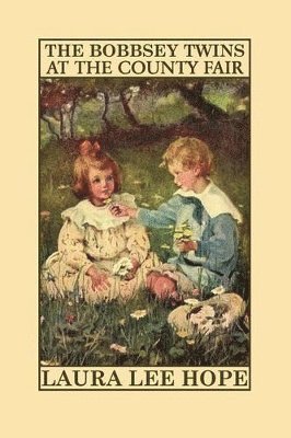 Laura Lee Hope - Bobbsey Twins at the County Fair, Häftad