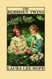 bokomslag The Bobbsey Twins